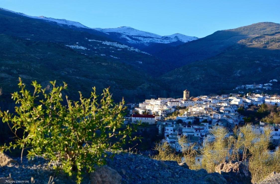 Hotel El Montoro Cádiar Esterno foto